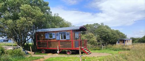 a small house is sitting in a field at Roulottes - Les lits de berger in Saint-Front