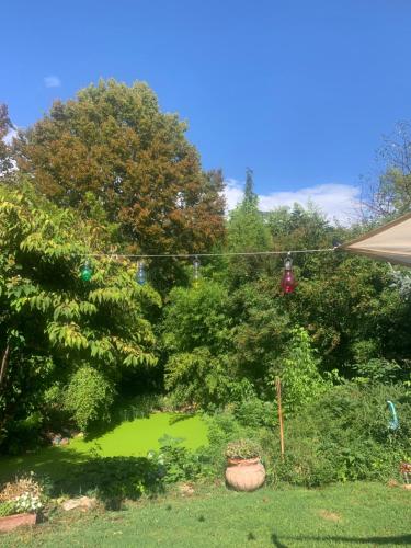 Κήπος έξω από το Stanze in villa con parco e piscina