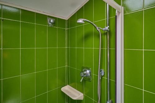 a green tiled bathroom with a shower and a toilet at Villa Liberty Rosa in San Vincenzo