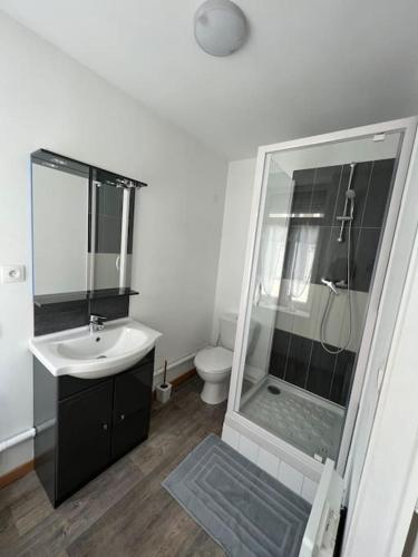 une salle de bain avec une douche, un lavabo et des toilettes dans l'établissement Studio boulonnais, à Boulogne-sur-Mer