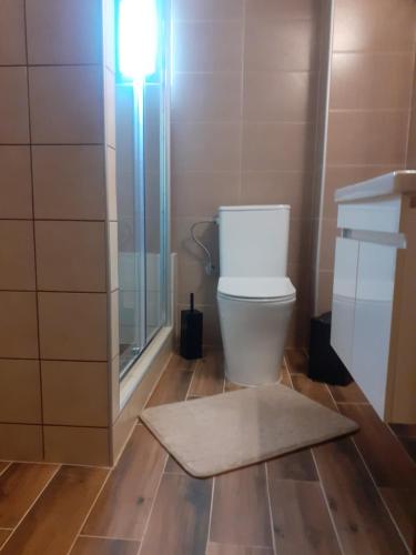 a bathroom with a toilet and a rug on the floor at GUSTO Apartment 2 in Orestiada
