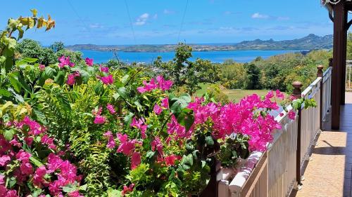 a balcony with pink flowers and a view of the water at Villa verte in Le Robert