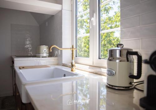 a kitchen with a sink and a appliance on a counter at Quinta da Costeira - Casa Azul do Limoal by ALPONTE in Arcos de Valdevez