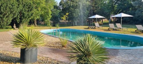 Reethouse Nature Resort - Pool Sauna Swimming pond 6120 Kiskunmajsa, 108 Ötfa tanya kép - 3