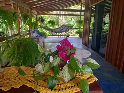 a vase of flowers sitting on a table at Mizu Spa & Hospedagem in Alter do Chao