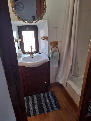 a bathroom with a sink and a mirror and a shower at Casita Tomate in Granada