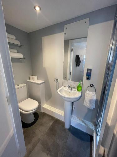 a bathroom with a toilet and a sink at Blackbull With Rooms Lower in Cumbernauld