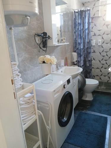 a bathroom with a washing machine and a sink at Apartmani Bubamara Leskovac in Leskovac