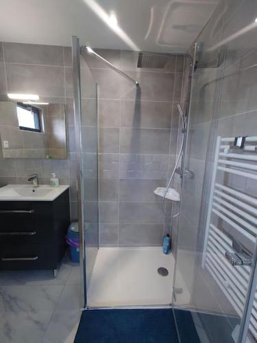 une salle de bain avec douche et lavabo dans l'établissement Maison au calme proche Disneyland Paris 35mn, à Villeneuve-Saint-Denis