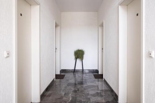a hallway with a plant in the middle at Hotel Luxor in Pristina