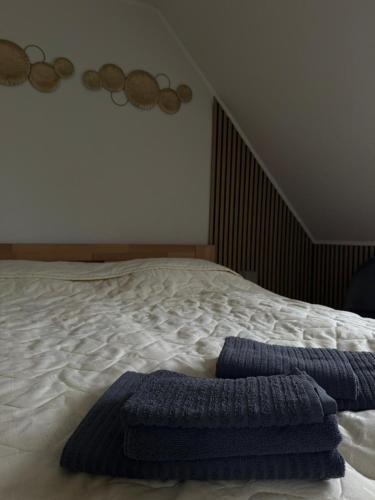 a bed with a blue blanket on top of it at Penzion Karin in Rýmařov