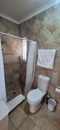 a bathroom with a toilet and a shower at Saint Blaize Cottage in Boksburg