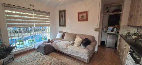 a living room with a couch with a cat on it at Saint Blaize Cottage in Boksburg