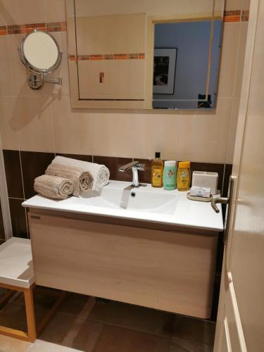 une salle de bain avec un lavabo et un miroir dans l'établissement Villa Primerose Guest House, à Saint-Raphaël