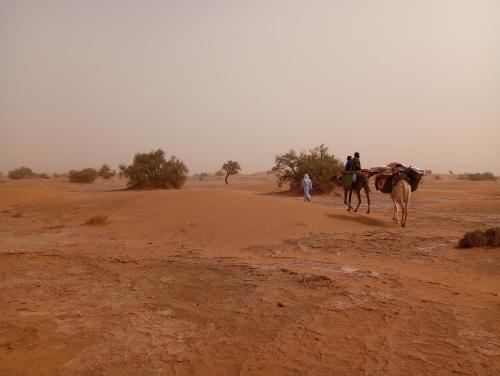 two people riding camels on a dirt road in the desert at Sahara Tours in Tâlhâ