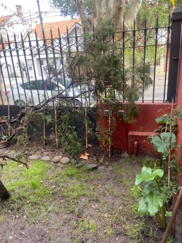 a garden with a fence and some plants at Hermosa casita con jardín Goldas Haus in Florida