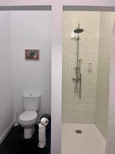 a bathroom with a toilet and a shower at Imperial Douro Apartamento 1 in Peso da Régua