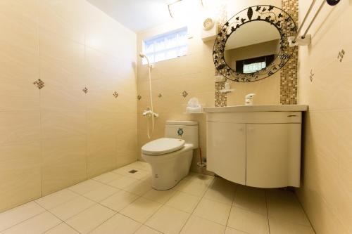 a bathroom with a toilet and a mirror at Taitung Leisure B&B in Taitung City