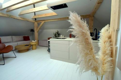 a kitchen and living room with a couch and a table at Apartamenty Blanca in Łeba