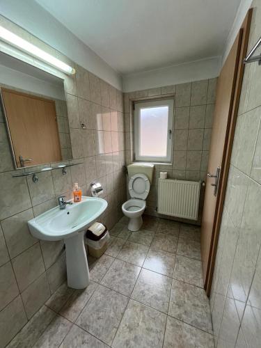 a bathroom with a sink and a toilet at Pensiunea BUJOR DE MUNTE in Voineasa