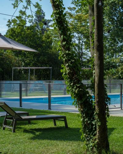 a tree with a bench next to a tennis court at Alle Siepi in Reggio Emilia