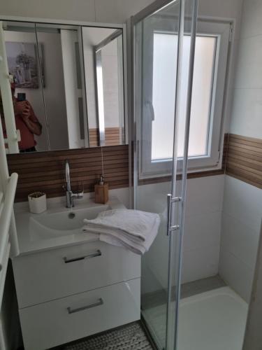 une salle de bain avec une douche, un lavabo et un miroir dans l'établissement Maisonnette confortable, à Nogent-le-Rotrou