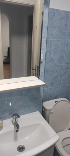 a bathroom with a toilet and a sink and a mirror at Zamfira Home in Tulcea