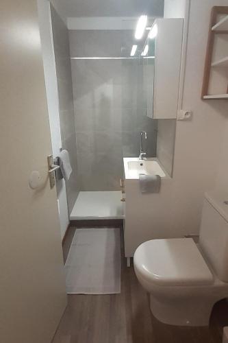 une salle de bain blanche avec des toilettes et un lavabo dans l'établissement Appartement 4 personnes aux Bottières Résidence le Bochate sur le domaine des Sybelles en Savoie, à Saint-Pancrace