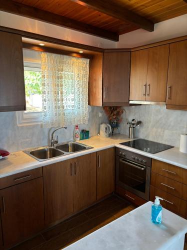 Kuchyňa alebo kuchynka v ubytovaní -Tsiakos Apartment- in Vryses