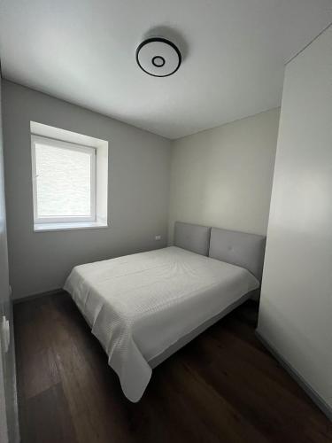 a bedroom with a bed and a window at Patrick in Šveicarija