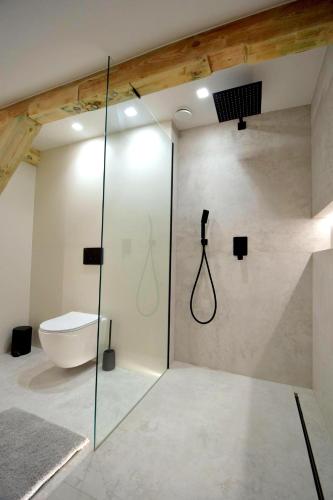 a glass shower in a bathroom with a toilet at Apartamenty Blanca in Łeba