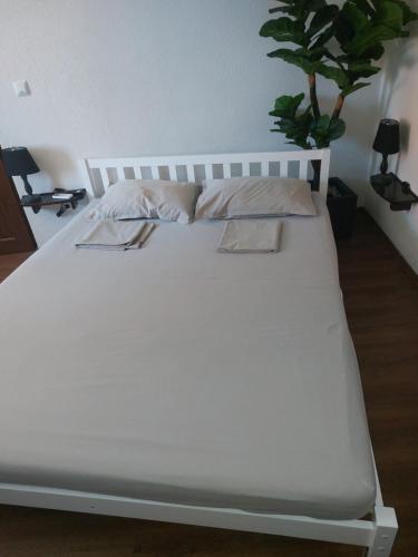 Cama blanca en habitación con maceta en Studio Sea and the City, en Rovinj