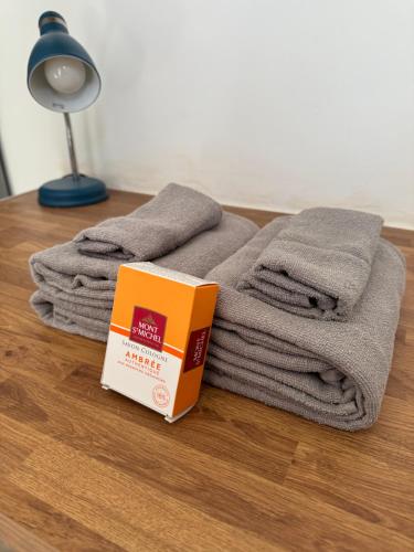 un livre posé sur une serviette à côté d'une lampe dans l'établissement Appartement 5 chambres 15 minutes mer, à Marseille