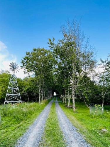 a dirt road with trees and a windmill in the distance at The Field Room - Hut on The Lizard in Helston