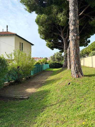 un arbre dans l'herbe à côté d'une maison dans l'établissement Superb apartment in provenzal residence with pool, à Antibes