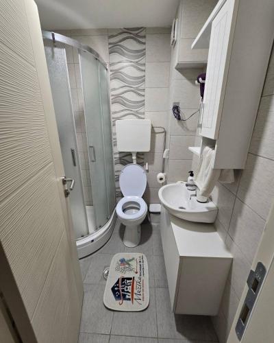 a bathroom with a toilet and a shower and a sink at Apartman Muzika Jagodina in Jagodina