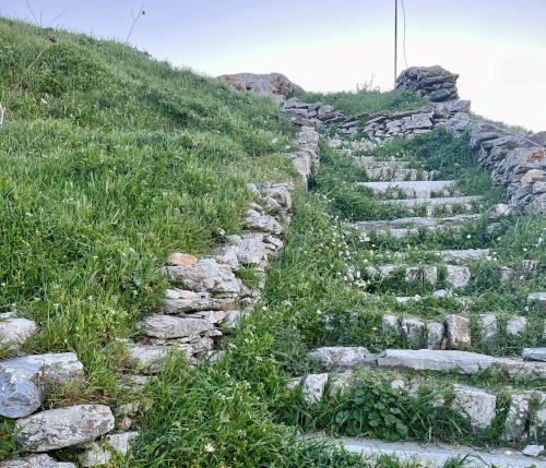 Φυσικό τοπίο κοντά σε αυτό το διαμέρισμα