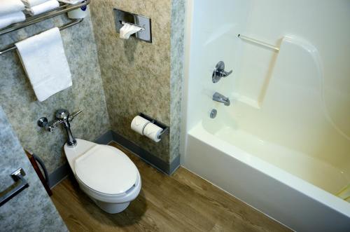 a bathroom with a white toilet and a bath tub at Budget Host Inn in Allegan