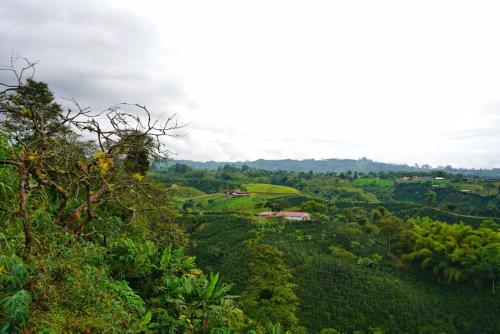 Paisaje cerca de este camping
