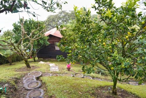 Jardín al aire libre en Hospedaje Mirador La Aurora Filandia
