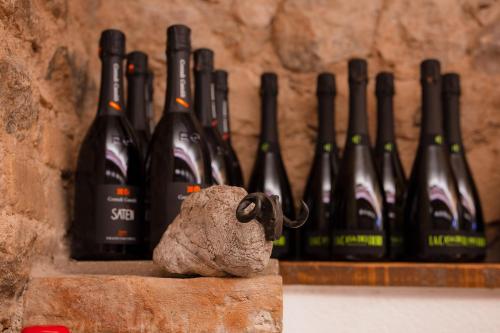 a bunch of wine bottles lined up against a wall at Executive B&B in Scafa