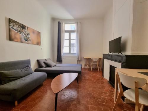 un salon avec un canapé et une télévision dans l'établissement Studio centre historique 2, à Aix-en-Provence