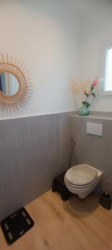 une salle de bain avec toilettes et miroir dans l'établissement le chemin de la nature, à Équemauville