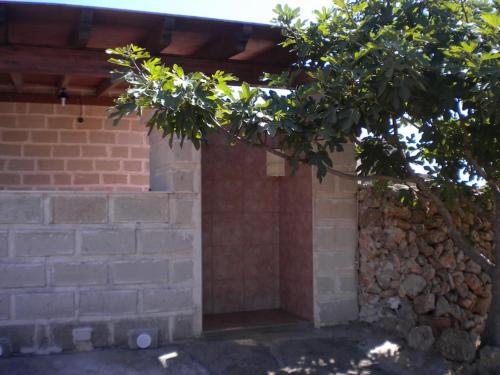 Afbeelding uit fotogalerij van Casa vacanze Villa Raffaela in Favignana