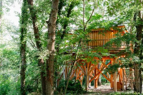 a wooden house in the woods with trees at Dolce et Cabane in Bérat