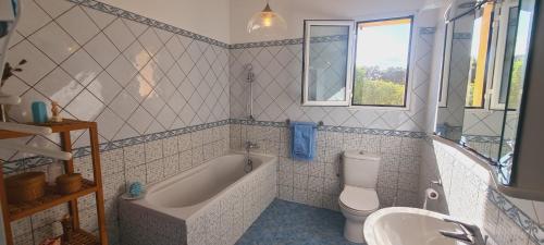 une salle de bain avec une baignoire, des toilettes et un lavabo dans l'établissement Villa A Sulana, à Canale-di-Verde