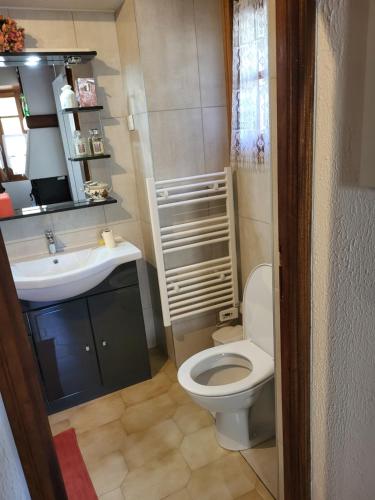 une petite salle de bain avec toilettes et lavabo dans l'établissement Maison de village, à Silvareccio
