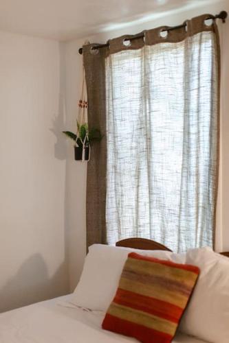 a bedroom with a bed and a window with a plant at Classic & Cozy Apartments - Parking & Close To Dw in Medford