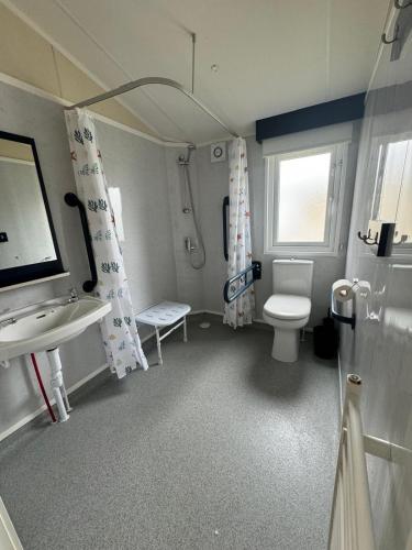 a small bathroom with a toilet and a sink at Golden Palm Resort - The Pearl - Coastal Caravan Breaks in Chapel Saint Leonards
