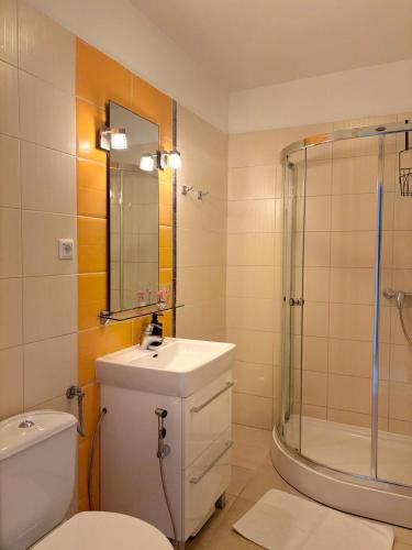 a bathroom with a toilet and a sink and a shower at Villa Matovica in Kampor